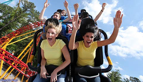 pregnanr women and amusement park rides